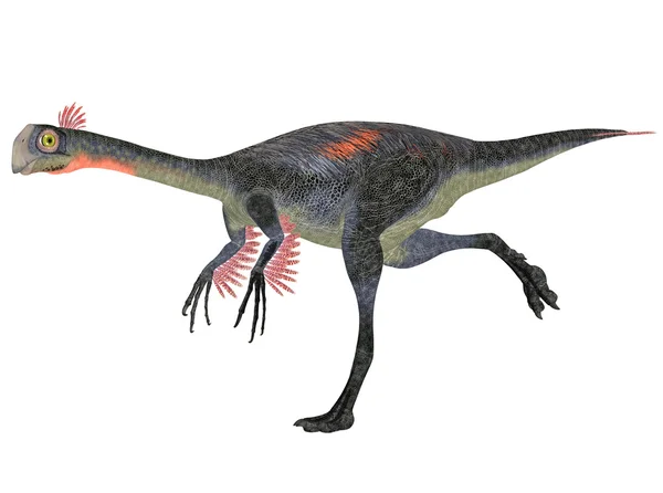 Gigantoraptor — Fotografia de Stock