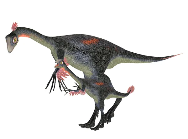 Erwachsener und junger Gigantoraptor — Stockfoto