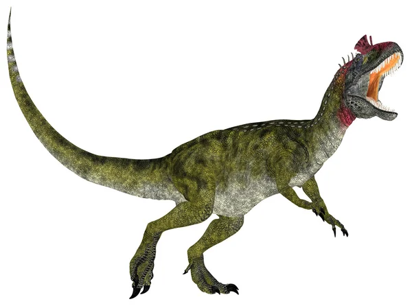 Cryolophosaurus ellioti Immagini Stock Royalty Free