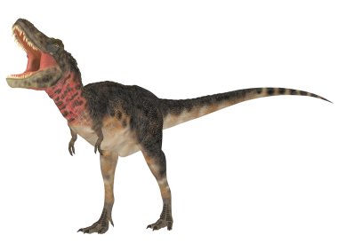 Tarbosaurus clipart