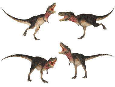 Tarbosaurus Pack clipart