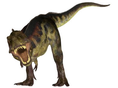 Tyrannosaurus clipart