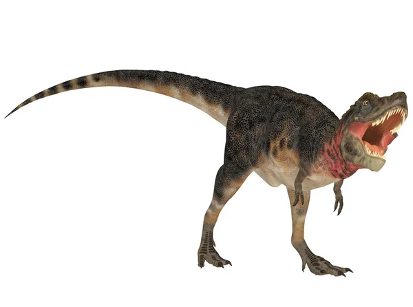 Tarbosaurus — Stock Photo, Image