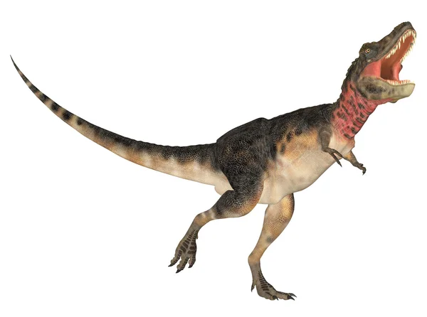 Tarbosaurus — Stock Photo, Image