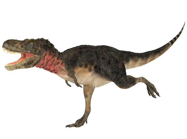 Tarbosaurus — стокове фото