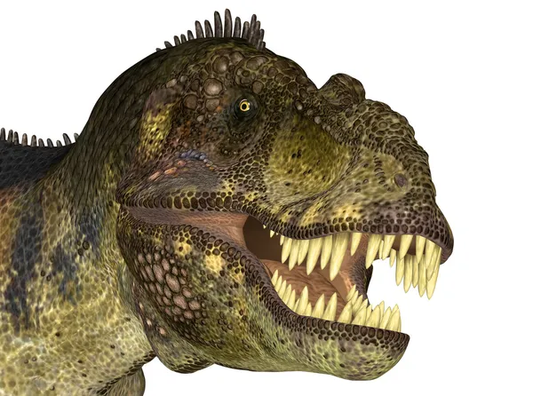 Голова тираннозавра — стоковое фото