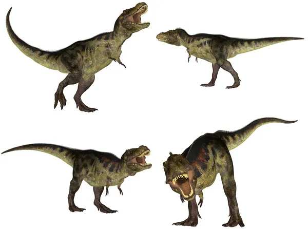 ティラノサウルス パック ロイヤリティフリーのストック写真