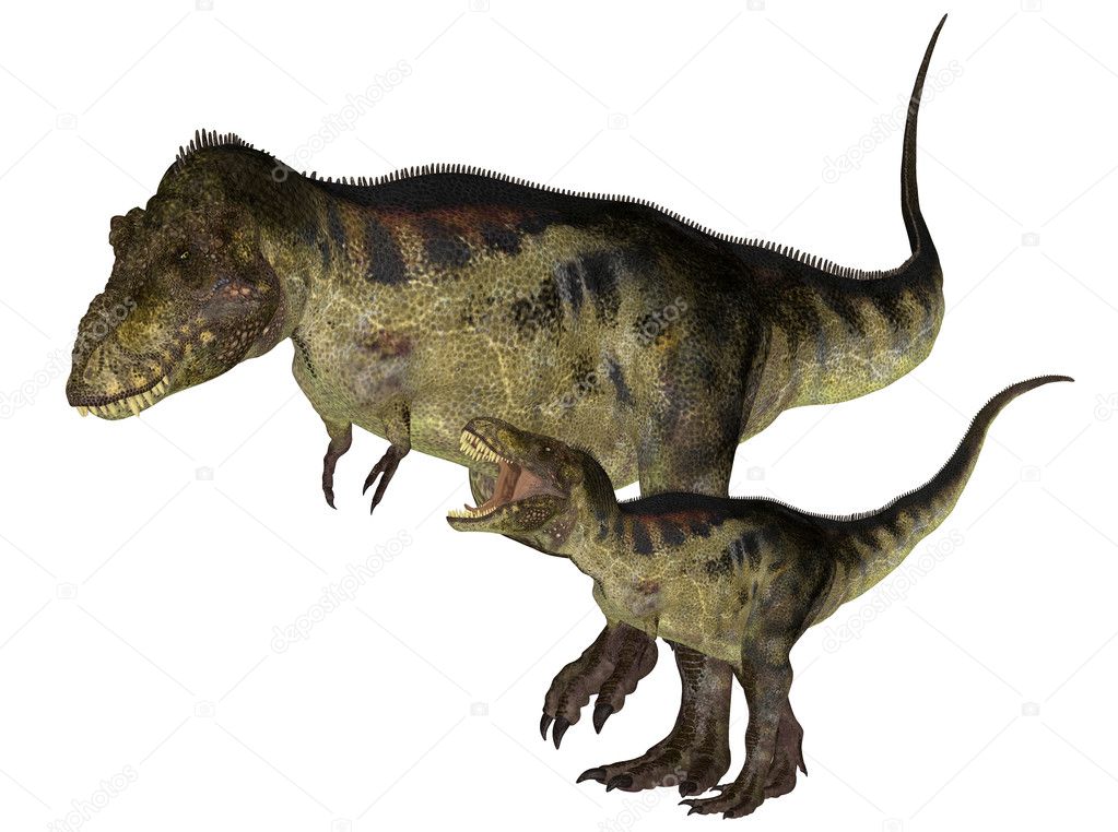 Adult and Young Tyrannosaurus