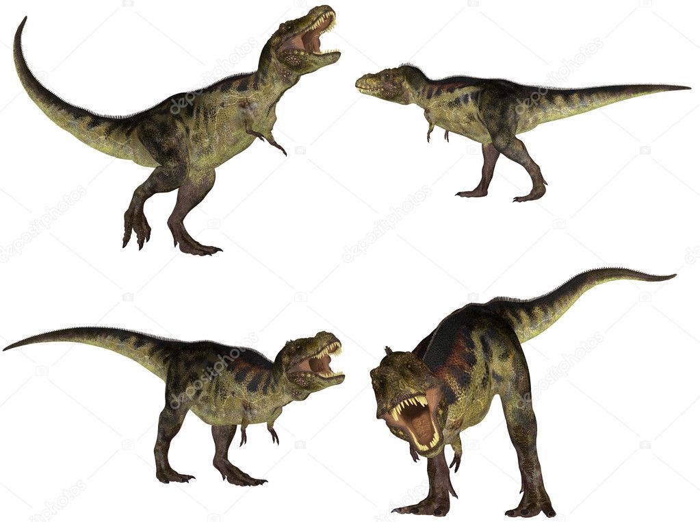 Tyrannosaurus Pack