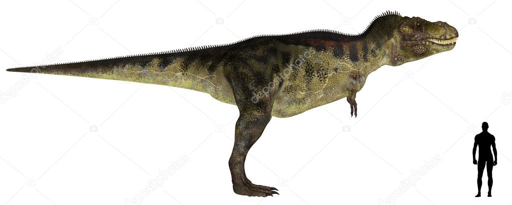 Tyrannosaurus Size Comparison