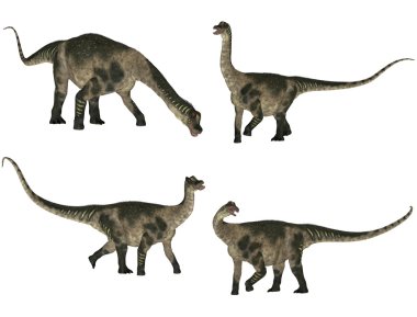 Antarctosaurus Pack clipart