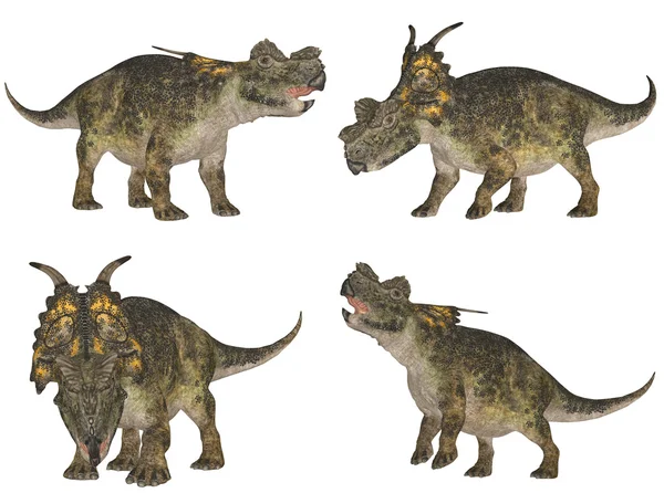Achelousaurus Pack — Stock Photo, Image