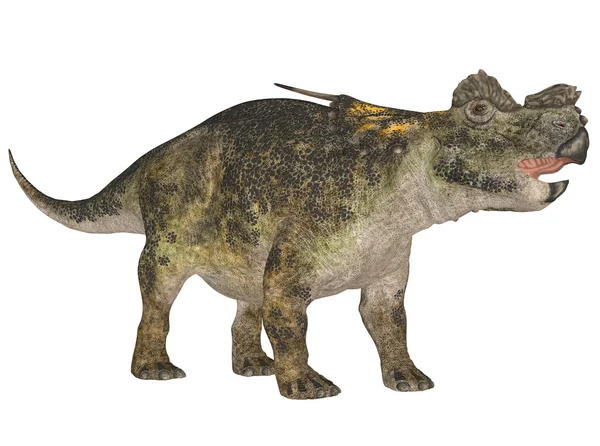 Achelousaurus — Fotografie, imagine de stoc