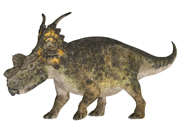 Achelousaurus — Stockfoto