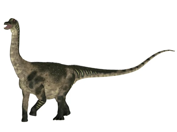 Antarctosaurus — 图库照片