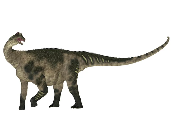 Antarctosaurus — Stock Photo, Image