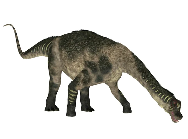 Antarctosaurus — Stockfoto