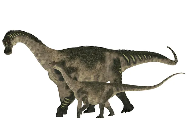 Felnőtt és a fiatal Antarctosaurus — Stock Fotó