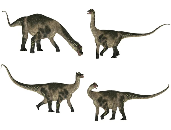 Antarctosaurus 包 — 图库照片