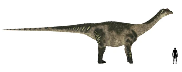 Antarctosaurus-Größenvergleich — Stockfoto