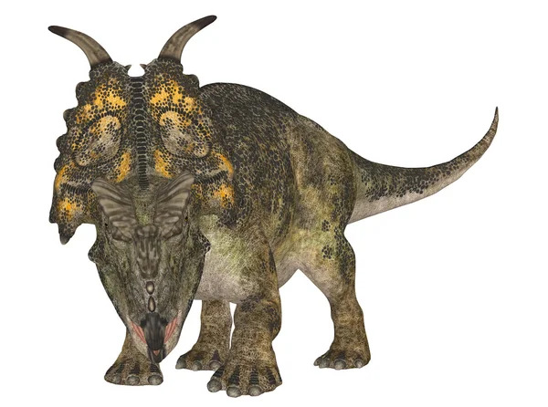 Achelousaurus horneri Immagini Stock Royalty Free