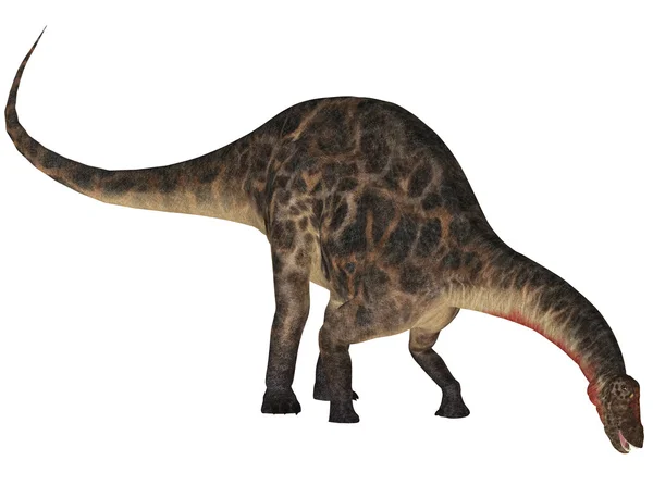 Dicraeosaurus — 图库照片