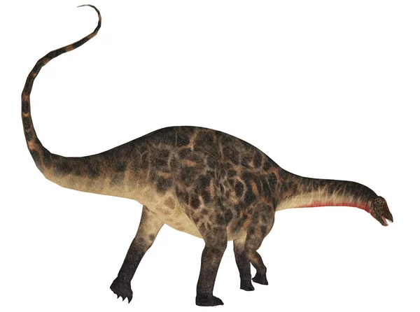 Dicraeosaurus — 图库照片