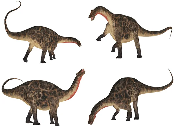 Dicraeosaurus Pack — Stock Photo, Image