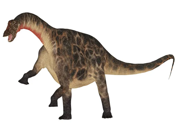 Dicraeosauro Foto Stock