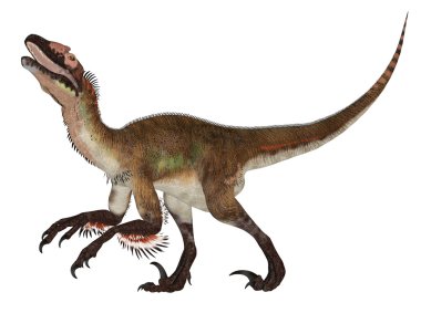 Utahraptor clipart