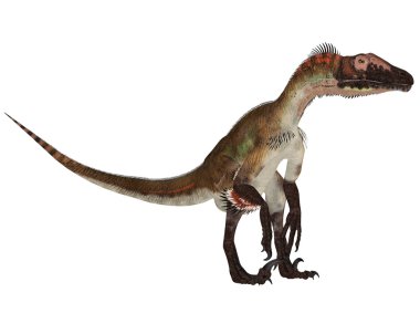 Utahraptor