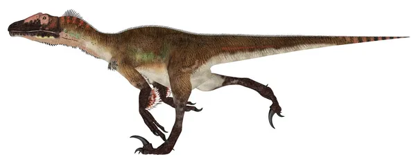 Utahraptor ostrommaysorum — Foto Stock