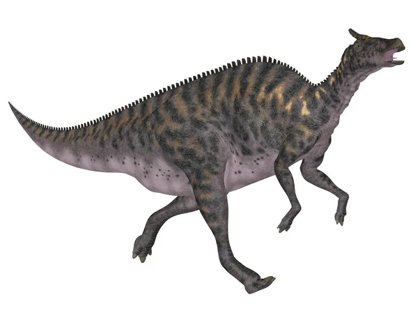 Saurolophus — Stok fotoğraf