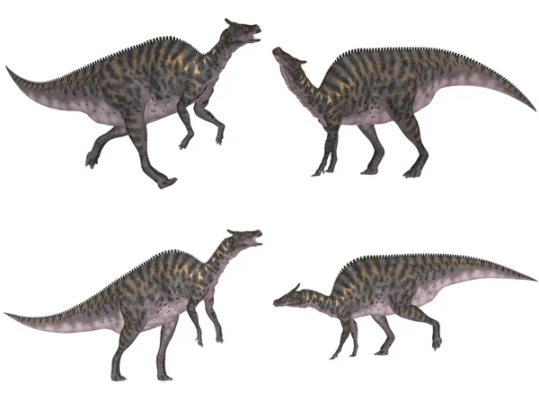 Saurolophus поновлення — стокове фото