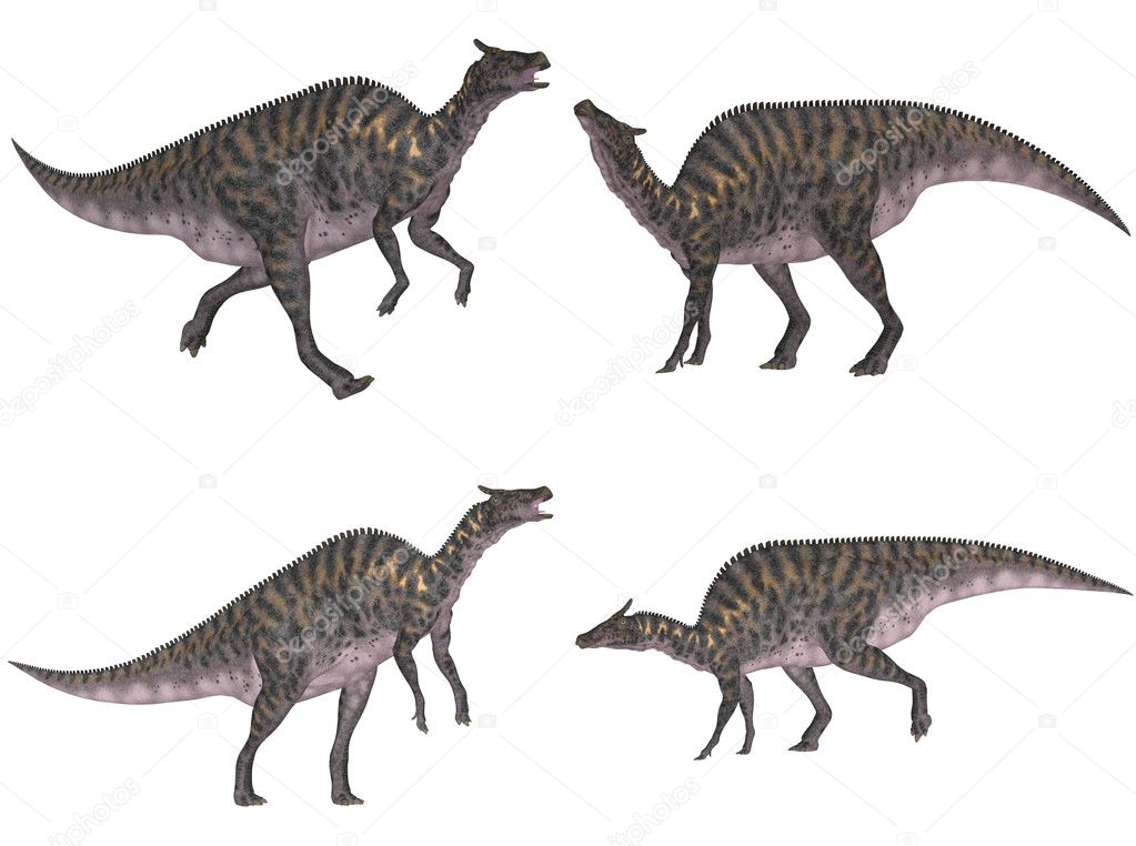 Saurolophus Pack
