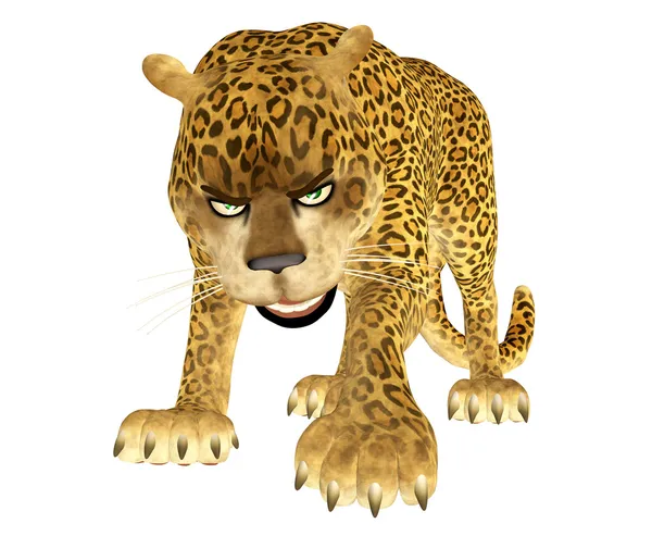 Злой леопард — стоковое фото