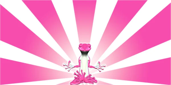 핑크색 도마뱀 명상 — 스톡 사진