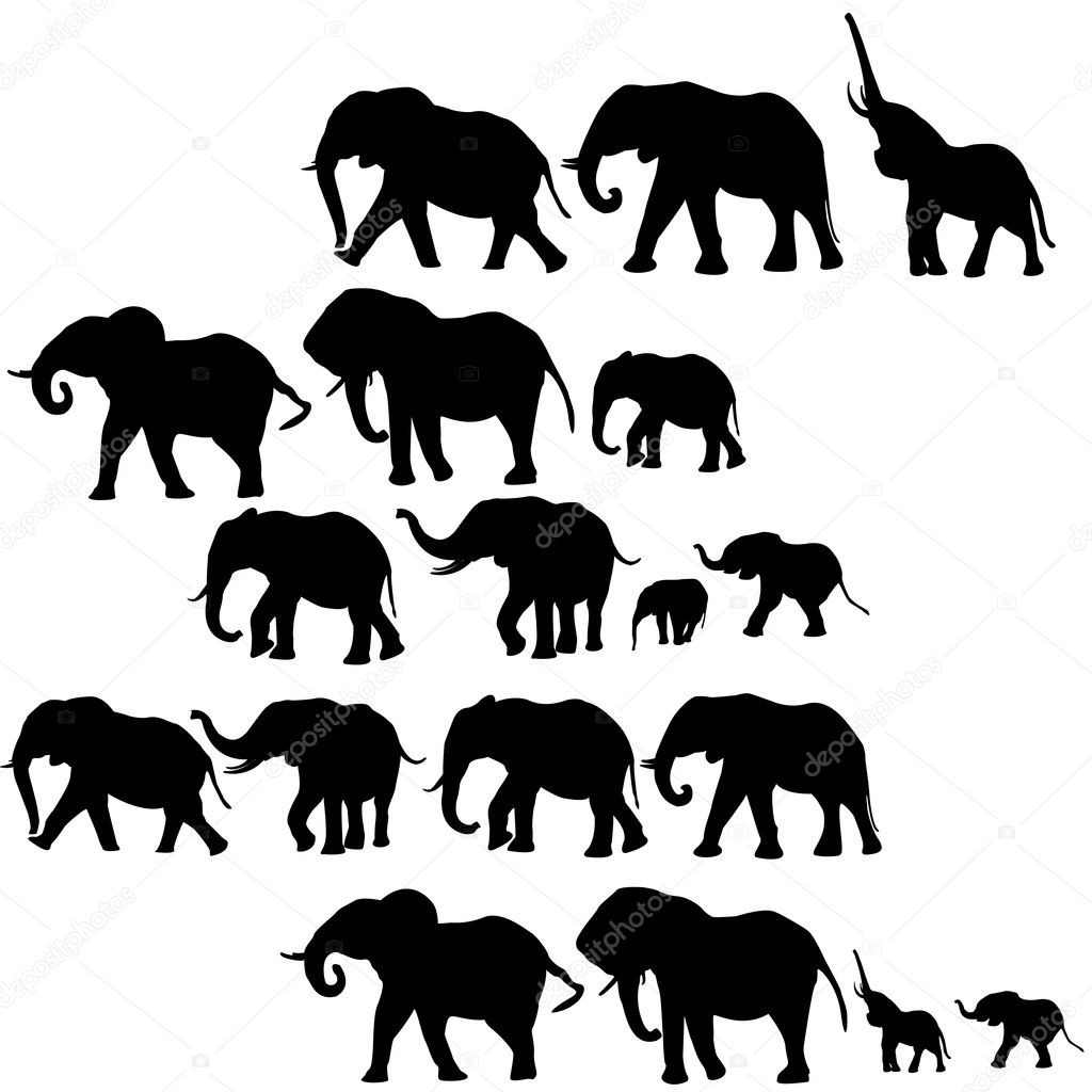 Background with elephants silhouettes
