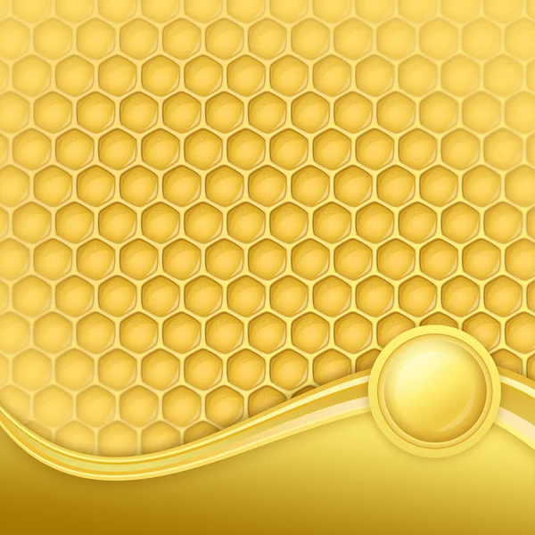 Honeycomb with wax — Stock Photo, Image