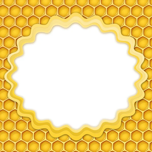 Moldura de favo de mel — Fotografia de Stock