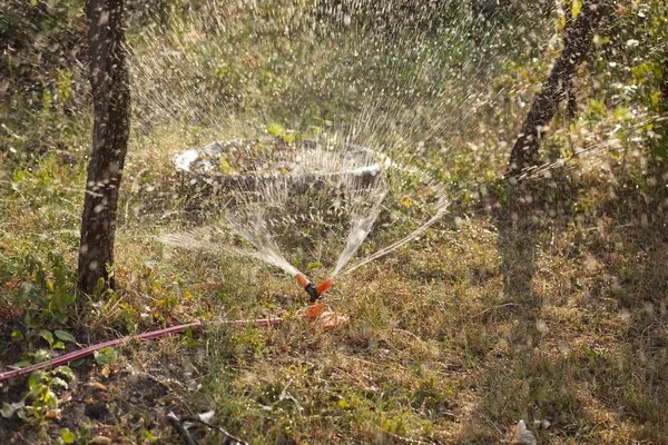 농업-여름에는 정원에서 Irigation 시스템 — 스톡 사진