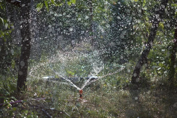 stock image Agriculture - Irigation system in garden at summer