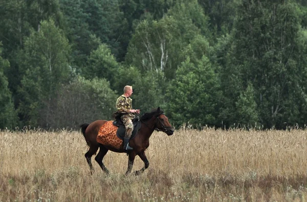 Человек верхом на лошади в полях — стоковое фото