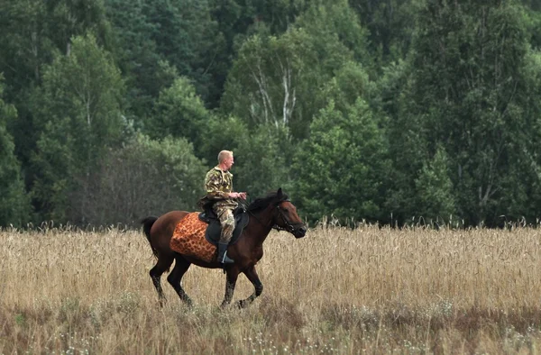 stock image Man horseriding in the fields