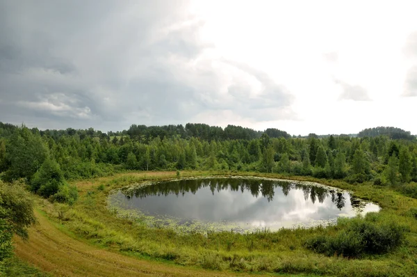 Spokojne jezioro w lesie — Zdjęcie stockowe