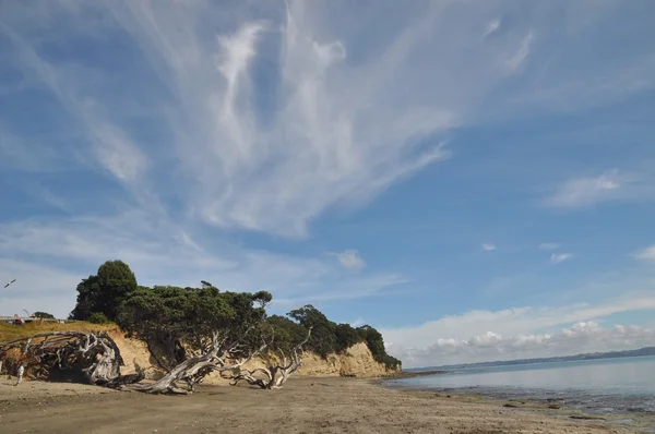 stock image Amazing beach