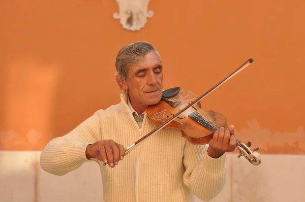 Musicista suonare una viola — Foto Stock