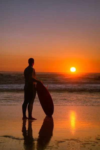 Un surfista che guarda le onde — Foto Stock