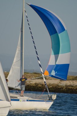 49 cruzeiro da ria