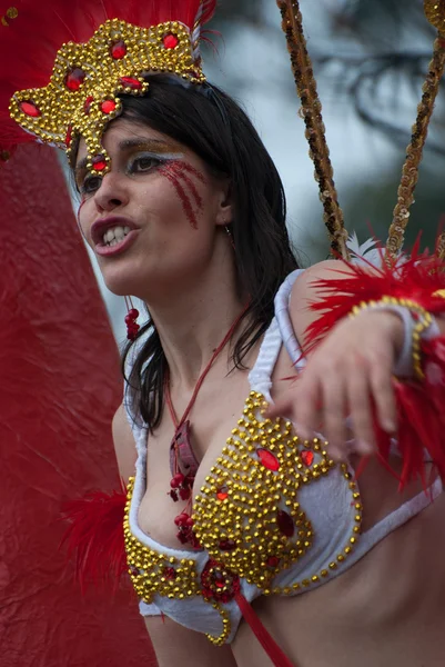 Carnaval de Ovar, Portugal — Stock Photo, Image